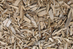 biomass boilers Coswinsawsin